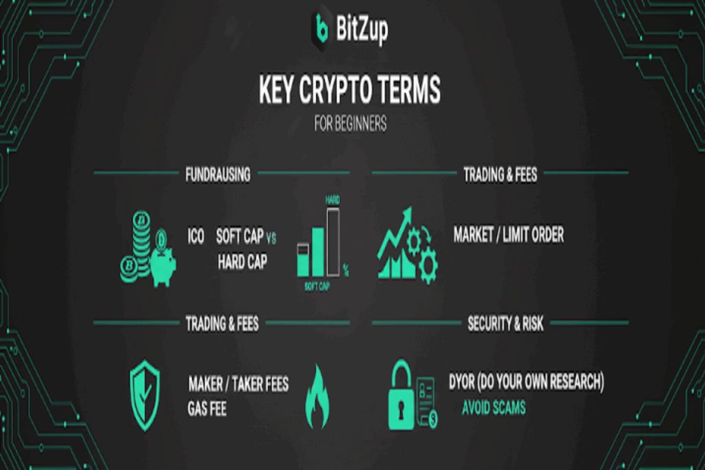 Key crypto terms for beginners infographic