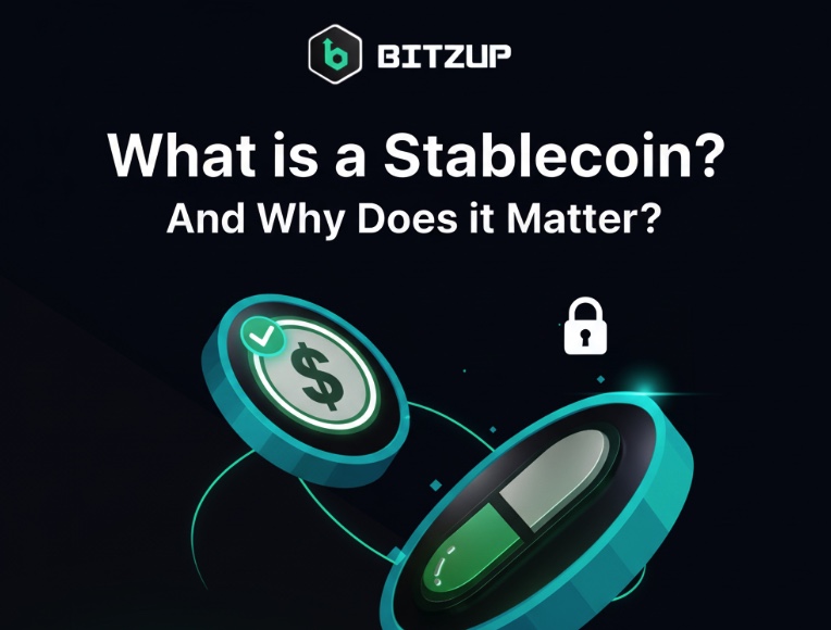 What is a stablecoin? Stablecoin explained simply how they stay at $1, key risks, and why they matter in crypto. Learn more with Bitzup today