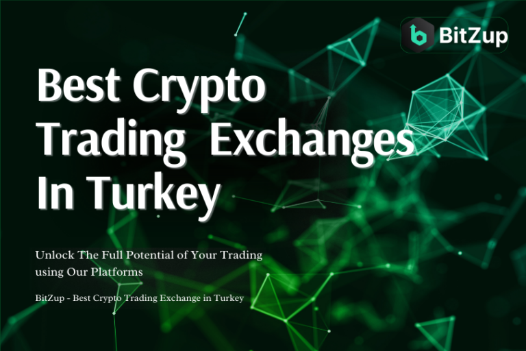 Best Crypto Trading Exchanges in Turkey